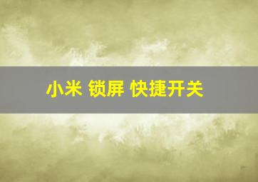 小米 锁屏 快捷开关